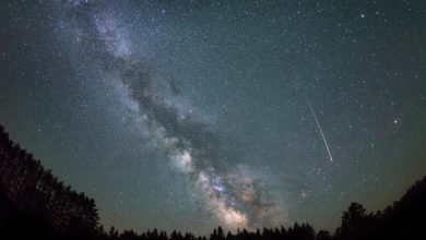 The Geminid Meteor shower grace the sky on Sunday