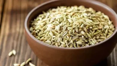 fennel tea has health benefits