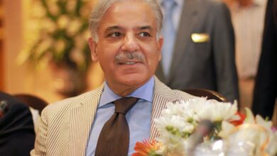 PM Shehbaz Sharif Promises Major Electricity Tariff Cut