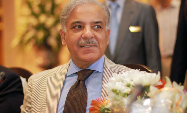 PM Shehbaz Sharif Promises Major Electricity Tariff Cut