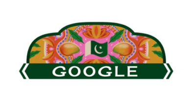 Google Celebrates Pakistan’s 78th Independence Day with Mango-Inspired Doodle