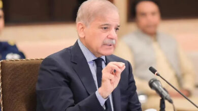 PM Shehbaz Sharif Seeks Stronger Pakistan-Bangladesh Ties