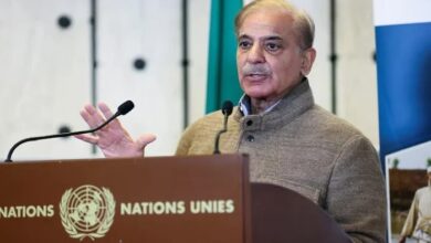 PM Shehbaz Sharif Arrives in London Ahead of UN General Assembly