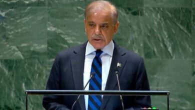 PM Sharif Urges Action on Gaza, Kashmir, and Climate Crisis, Addresses UNGA