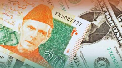 Pakistani Rupee Gains Slightly Against US Dollar, Euro Declines