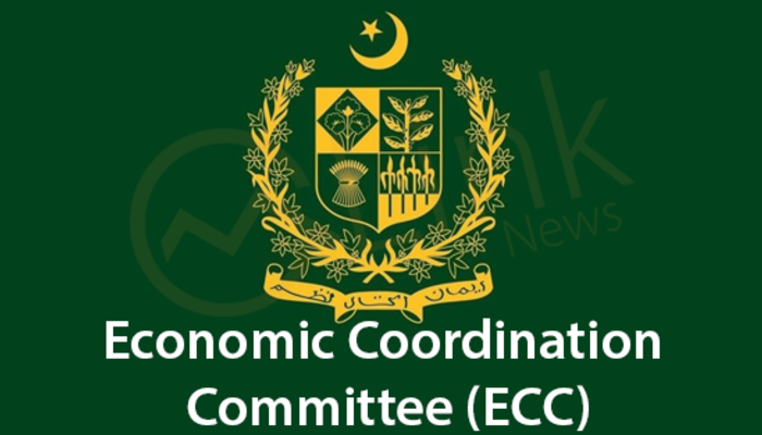 ECC Approves Supplementary Grants for Defence and Vaccine Prices