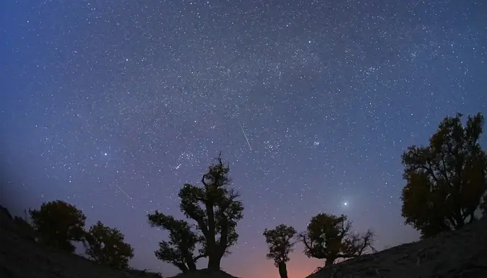 Halley’s Comet Debris Sparks Orionid Meteor Shower This Week