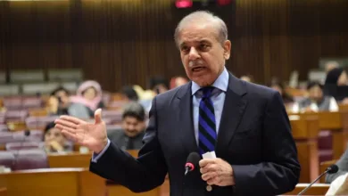 PM Shehbaz Hails Historic 26th Amendment Passage