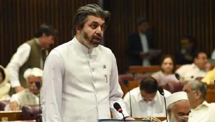 PTI Leader Ali Muhammad Khan Opposes Protest During SCO Summit