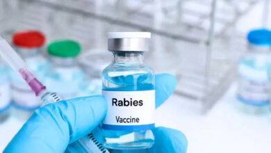 DRAP Issues Urgent Recall Alert for Suspected Fake Anti-Rabies Vaccines