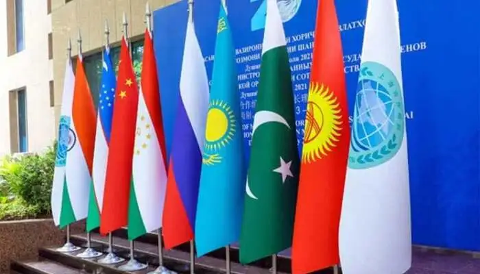 PM Shehbaz Proposes Common Currency for SCO Nations