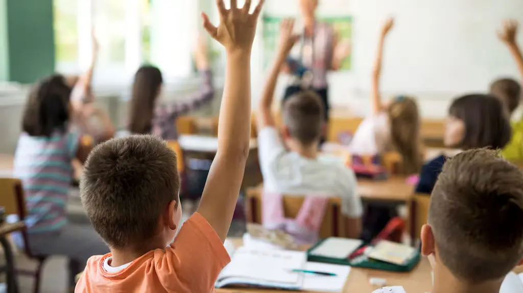 Survey Reveals Alarming Mental Health Crisis Among Schoolchildren