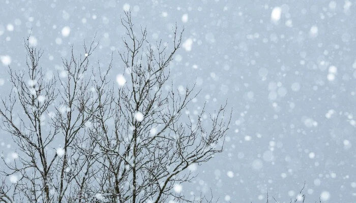 UK Braces for Potential Snow as Early as Next Week