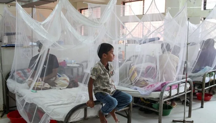 Dengue Cases Spike in KP as Doctors Urge Prevention Measures