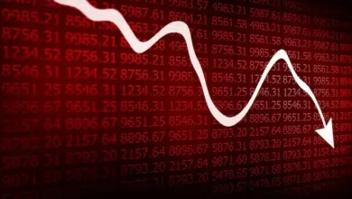 Japan Shares Fall as Elections and Earnings Take Center Stage