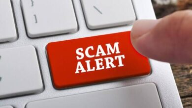 Pig Butchering Scams, Global Crisis