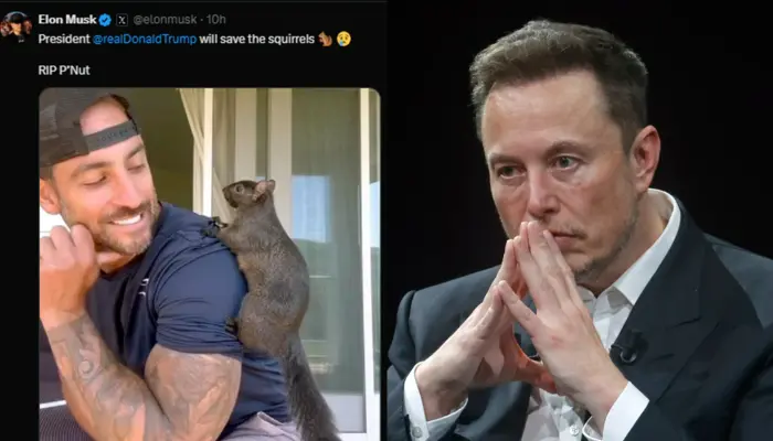 Elon Musk Outraged Over Euthanization of Peanut the Squirrel