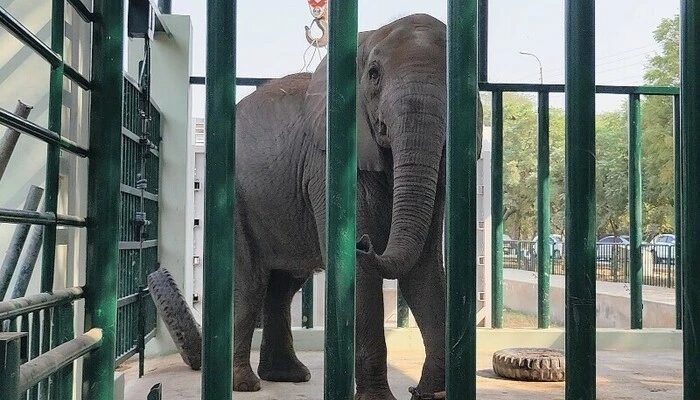 Madhubala Reunites with Sisters at Safari Park