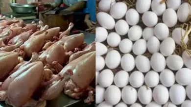 Prices of Chicken Meat and Eggs Surge in Karachi