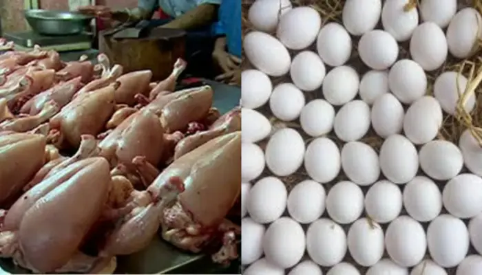 Prices of Chicken Meat and Eggs Surge in Karachi