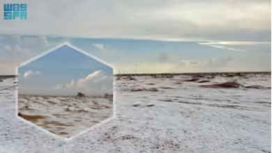 Rare Snowfall Blankets Saudi Arabia's Desert Landscape