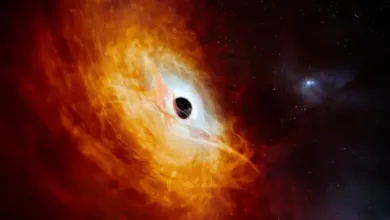 The Mystery of Supermassive Black Holes in Galaxies