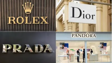 Who Really Buys Luxury Brands The Surprising Appeal of Status for the Non-Wealthy