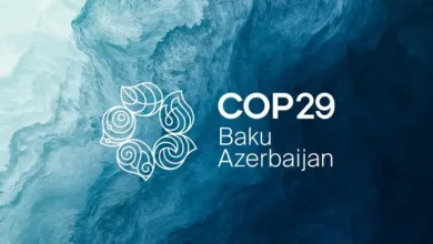 COP29 Azerbaijan: Key Stakes and Global Implications at the 2024 Climate Summit