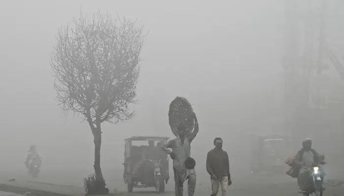 How to Protect Your Lungs from Smog? Essential Tips for Health