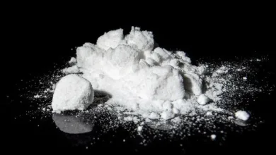 ANF Stops Major Drug Smuggling Bid at Karachi Port