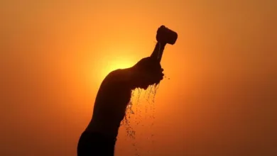 WMO Predicts Record-Breaking Global Temperatures by 2029