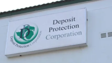 Deposit Protection Corporation Releases Annual Report FY2023-24