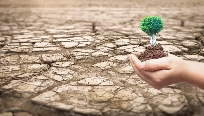 Earth’s Drying Lands Nations Unite to Tackle Desertification