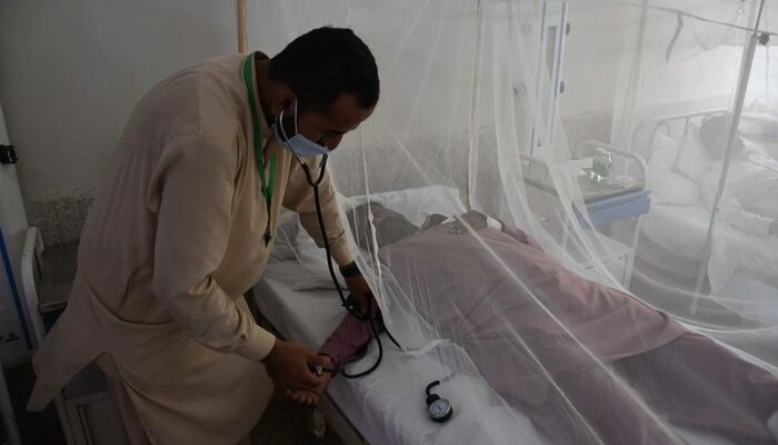 Mosquito-Borne Diseases Surge in Khyber Pakhtunkhwa A Public Health Alarm