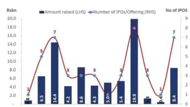 Pakistan Stock Exchange Sees Surge in IPOs in 2024