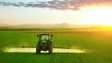 Pakistan’s Agricultural Exports See Significant Growth