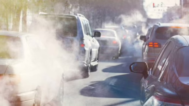 Punjab Traffic Police Intensifies Action Against Smog-Emitting Vehicles