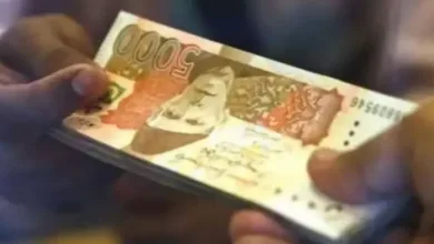 Sindh Government to Release Early Salaries for Christmas Celebration