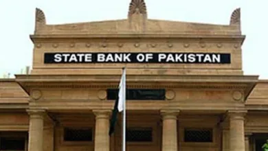 Pakistan Records $729 Million Current Account Surplus in November 2024