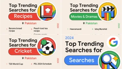 Google Unveils "Year in Search 2024" Pakistan's Most Popular Search