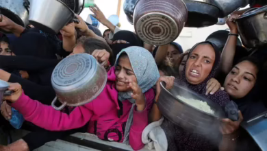 US Policies on Gaza Draw Sharp Criticism from Former Official