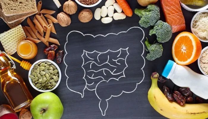 Your Gut Holds the Key to Health