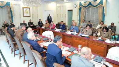Shehbaz Sharif Calls Overbilling by Power Companies Unacceptable