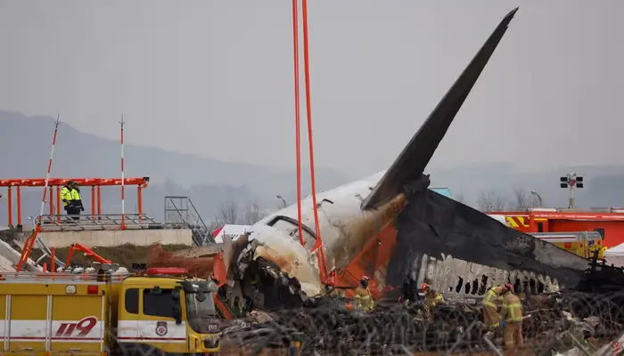 Bird Strike Linked to Fatal Jeju Air Crash in South Korea