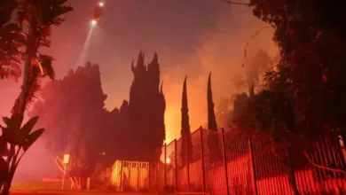 California Wildfires Destroy Homes of Celebrities in Hollywood Hills