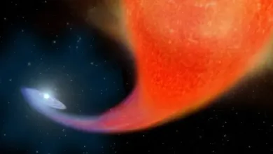 Hubble Unveils Rare ‘Blue Lurker’ Star in Triple-Star System