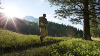 Seven Effective Ways to Help the Planet in 2025