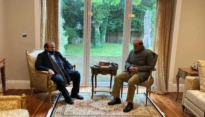 Pakistan Muslim League-Nawaz (PML-N) President Nawaz Sharif advised Prime Minister Shehbaz Sharif to prioritize national interest during the ongoing