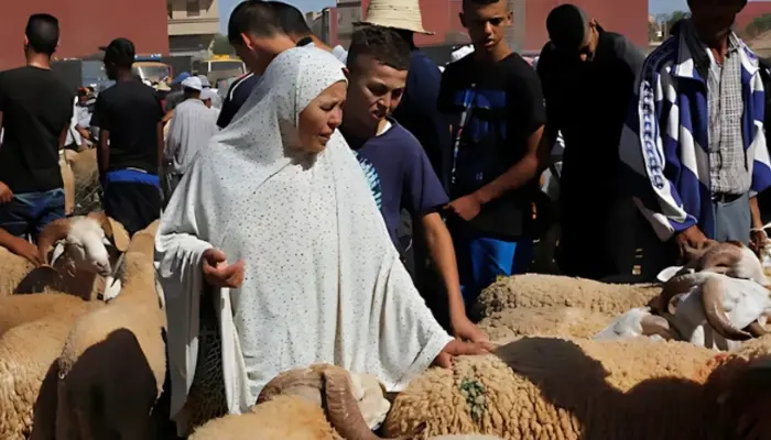 Morocco Urges Citizens to Skip Sheep Slaughter on Eid al-Adha