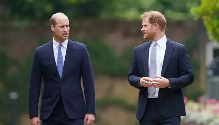 Prince Harry Fears Permanent Rift with Prince William